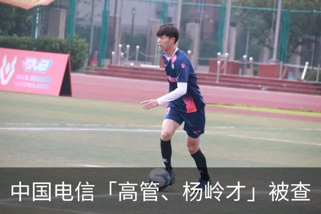 中国电信「高管、杨岭才」被查