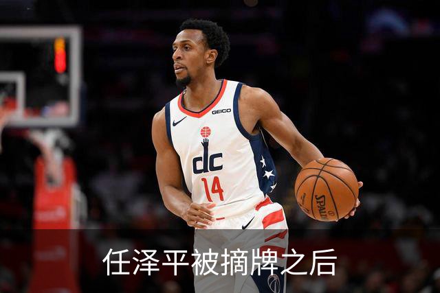 任泽平被摘牌之后