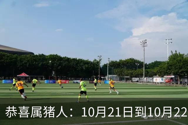 恭喜属猪人：10月21日到10月22日，你盼了很久的囍事终于来了