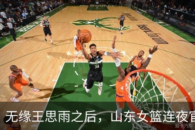 无缘王思雨之后，山东女篮连夜官宣新外援，给张子宇传球的人来了