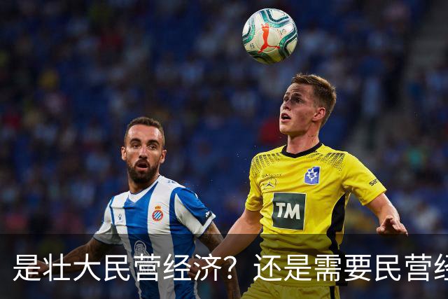 是壮大民营经济？还是需要民营经济？