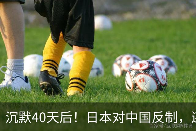 沉默40天后！日本对中国反制，连查三年，想封死中企后路