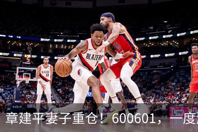 章建平妻子重仓！600601，一度涨停