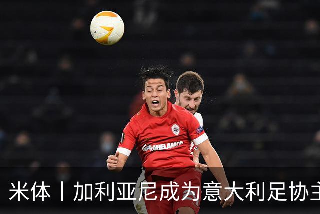 米体丨加利亚尼成为意大利足协主席热门人选