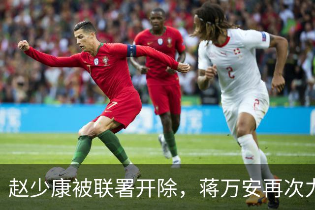 赵少康被联署开除，蒋万安再次力挺：和赵大哥一起团结一心并肩作战